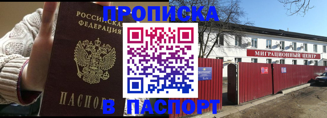временная регистрация поиск в Камчатской области